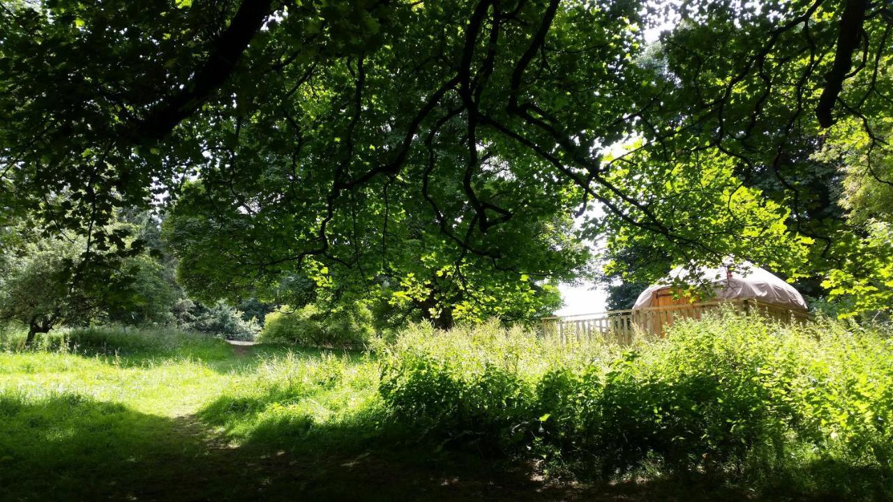 Rock Farm Slane - Glamping Hotel Exterior photo